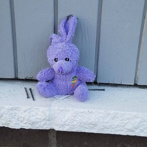 Meet your Posher, Annie